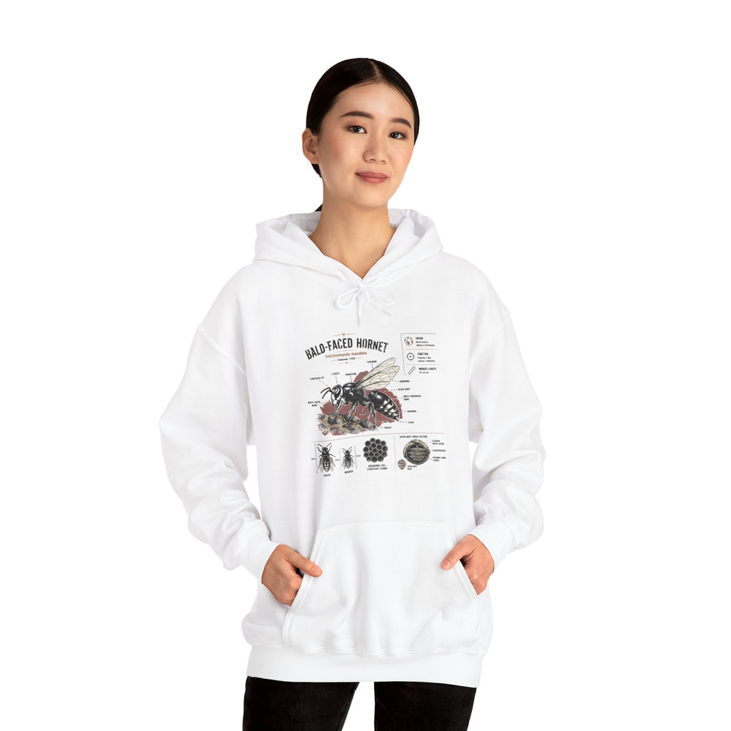 Bee Anatomy Hoodie — Bald-Faced Hornet Illustration & Diagram Sweatshirt