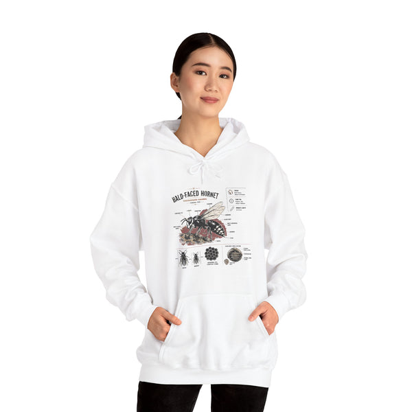 Bee Anatomy Hoodie — Bald-Faced Hornet Illustration & Diagram Sweatshirt