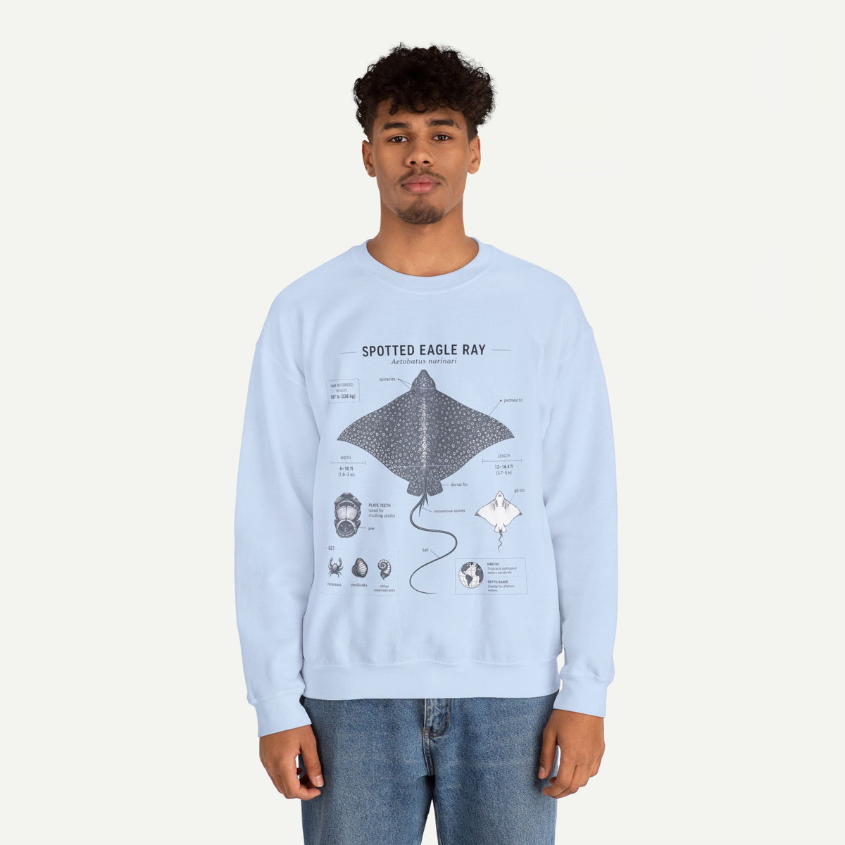 Spotted Eagle Ray Anatomy Sweatshirt – Marine Biology Illustration