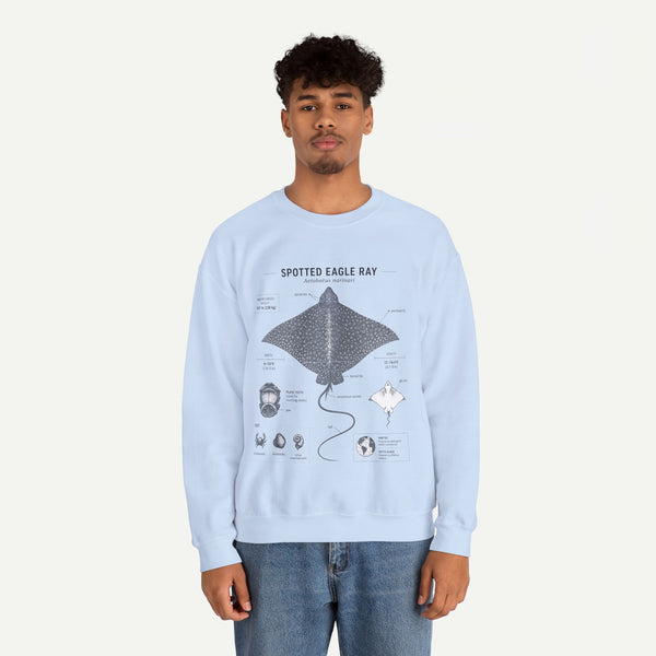 Spotted Eagle Ray Anatomy Sweatshirt – Marine Biology Illustration