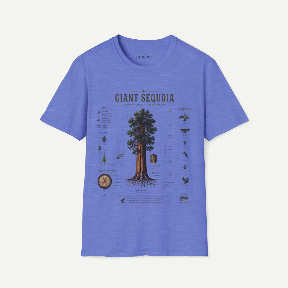 Giant Sequoia Anatomy T-Shirt — Botanical Tree Illustration Tee