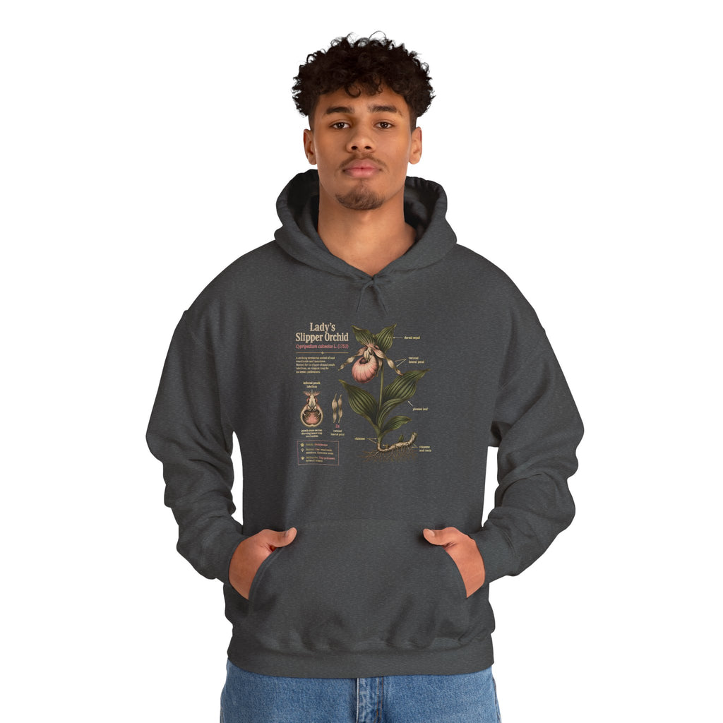 Botanical Peach Illustration Hoodie — Vintage Botanical Chart Sweatshirt
