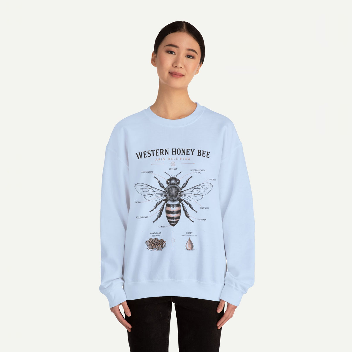 Western Honey Bee Sweatshirt — Vintage Bee Anatomy Graphic