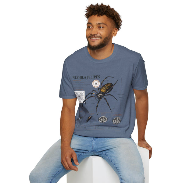 Spider Anatomy T-Shirt — Epephila Pilipis Scientific Illustration Tee