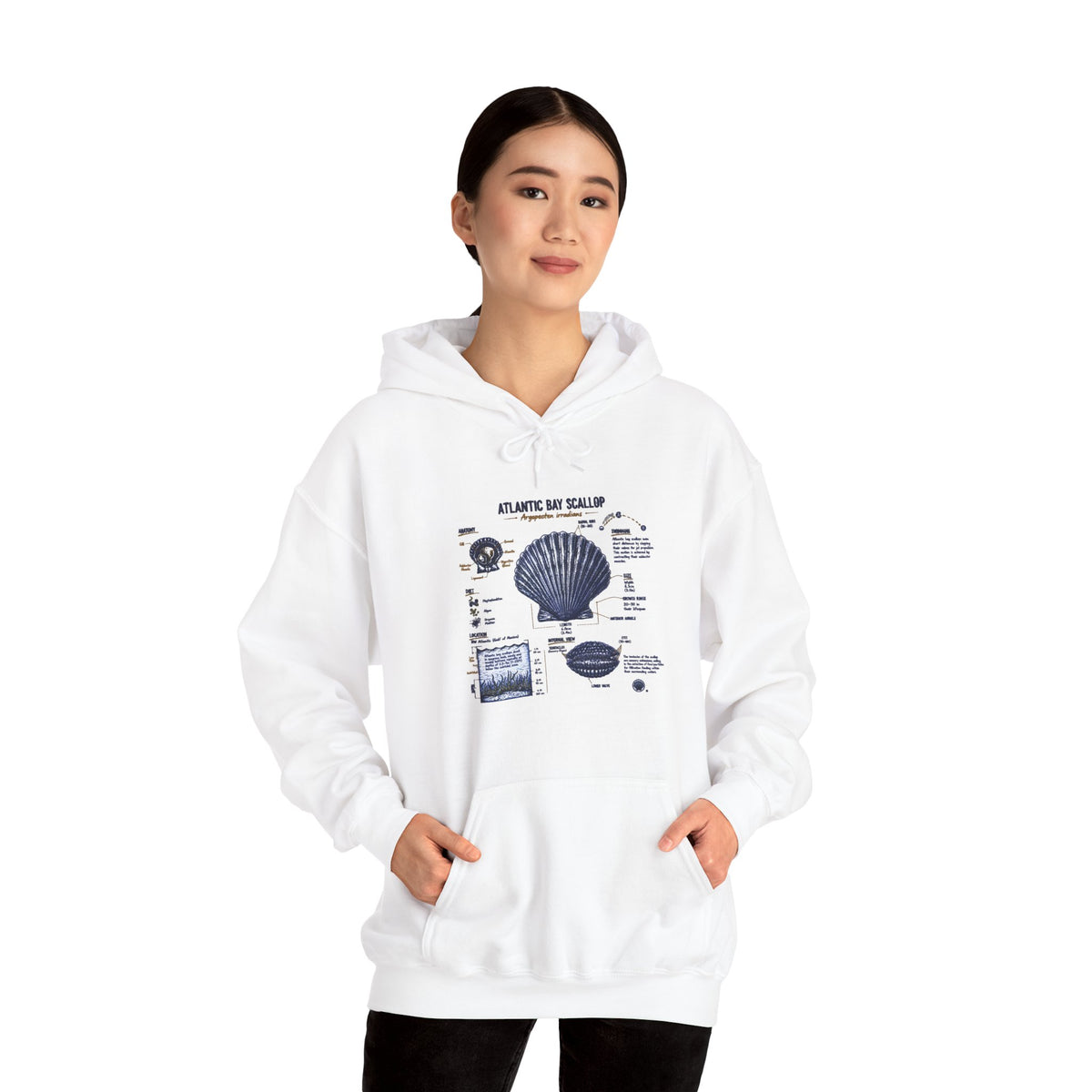 Seashell Anatomy Hoodie – Nautical Beach Diagram Sweatshirt