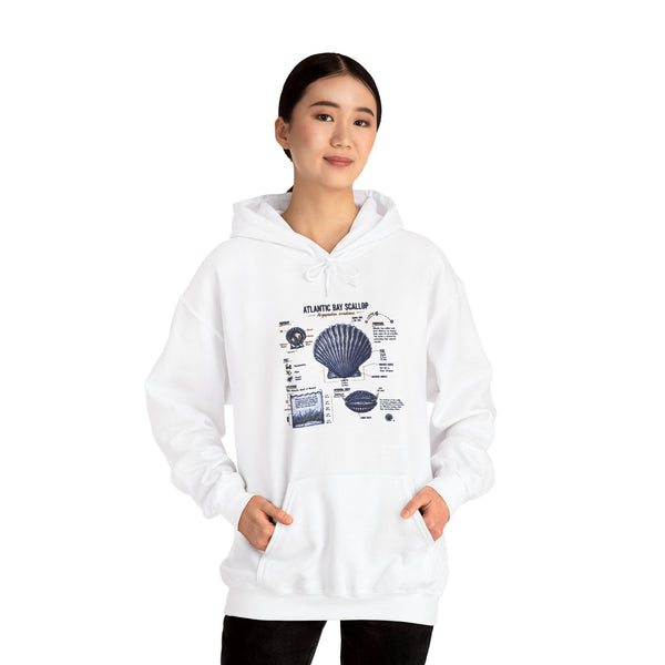 Seashell Anatomy Hoodie – Nautical Beach Diagram Sweatshirt