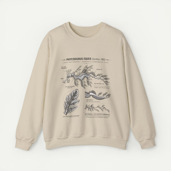 Botanical Anatomy Sweatshirt — Vintage Phycodurus Eques Seaweed Illustration