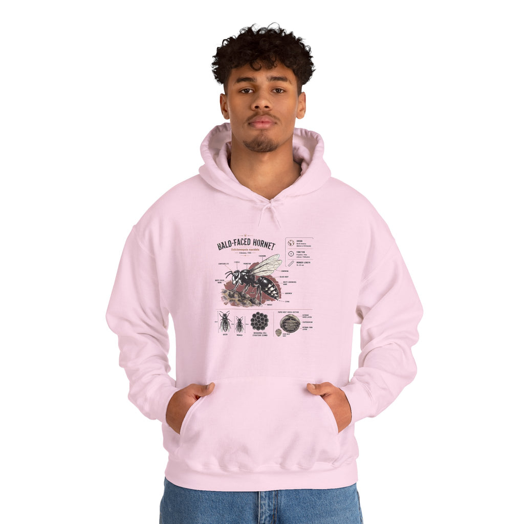 Bee Anatomy Hoodie — Bald-Faced Hornet Illustration & Diagram Sweatshirt