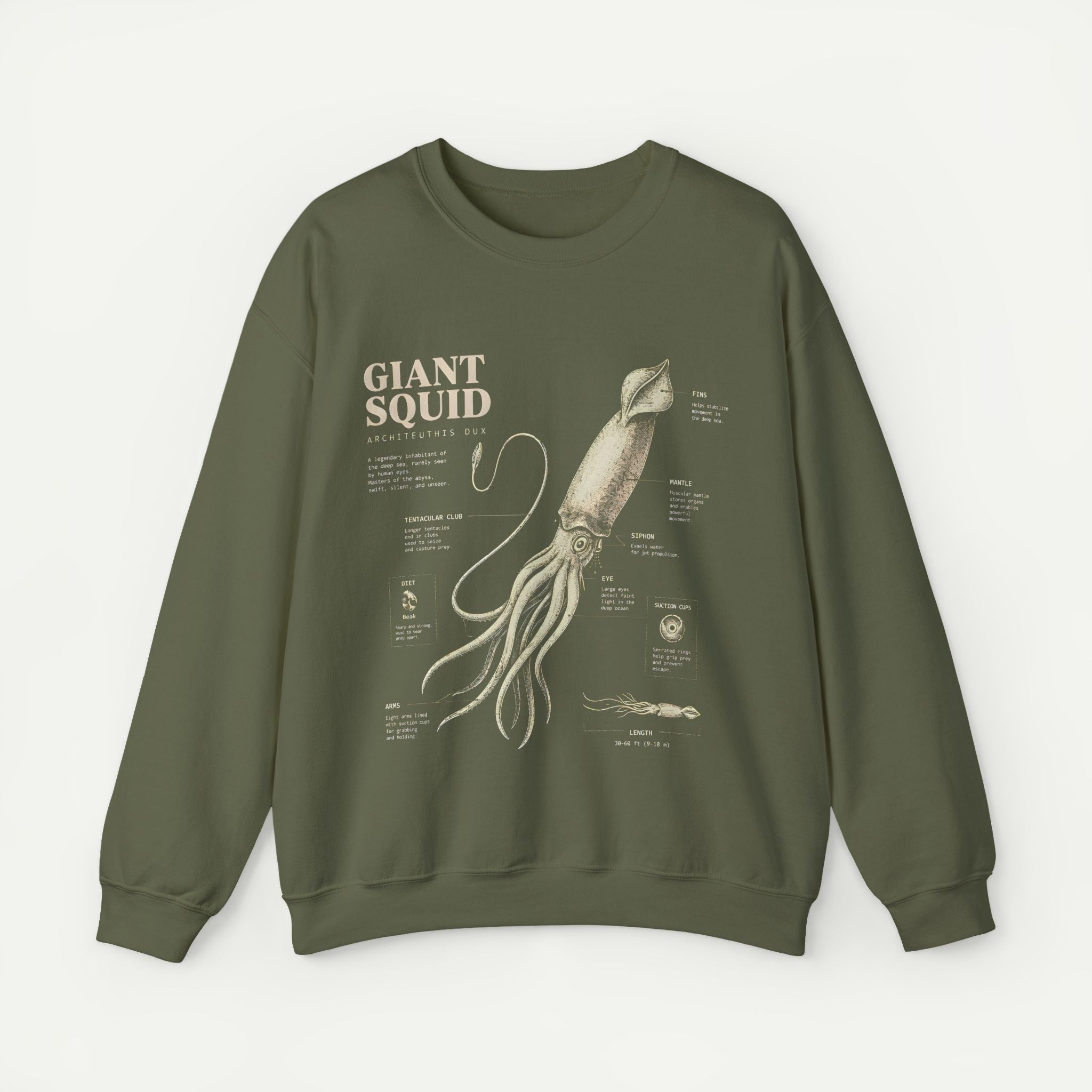 Giant Squid Anatomy Sweatshirt — Vintage Nautical Marine Biology Crewneck Secondary image