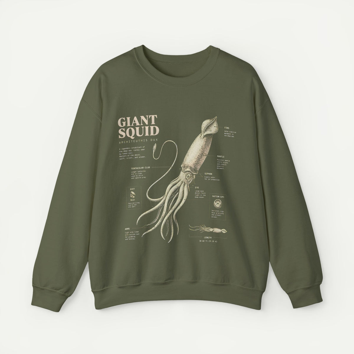 Giant Squid Anatomy Sweatshirt — Vintage Nautical Marine Biology Crewneck