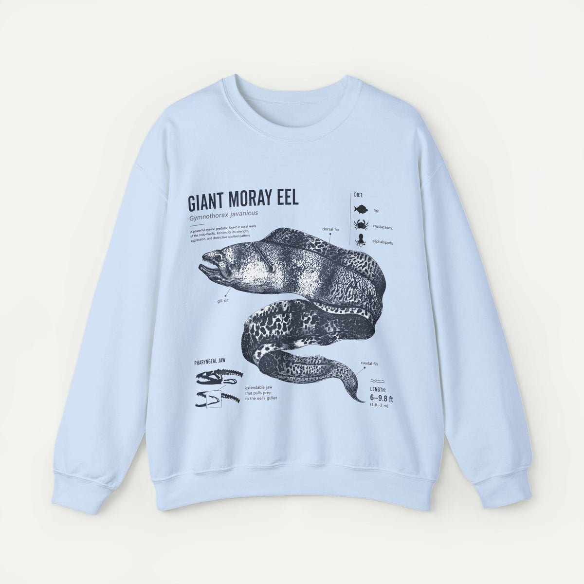 Giant Moray Eel Anatomy Sweatshirt
