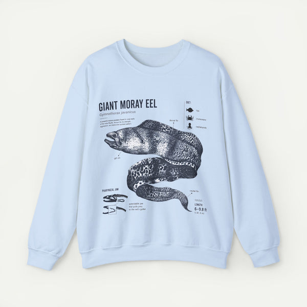 Giant Moray Eel Anatomy Sweatshirt