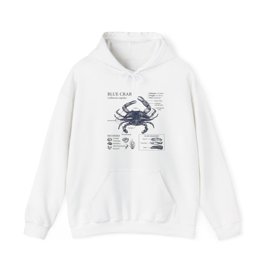 Blue Crab Anatomy Hoodie – Nautical Marine Biology Graphic Sweatshirt