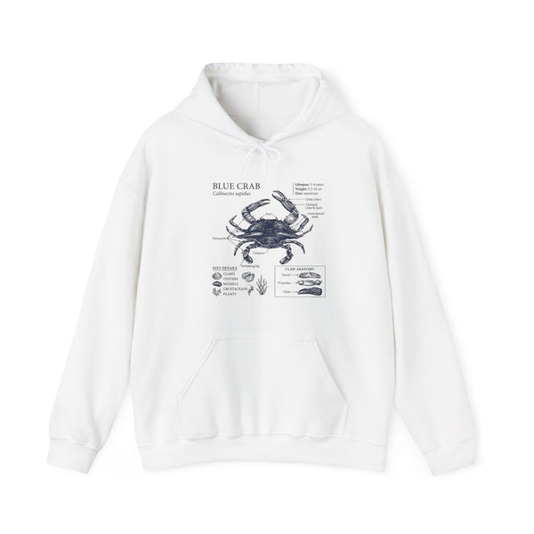 Blue Crab Anatomy Hoodie – Nautical Marine Biology Graphic Sweatshirt