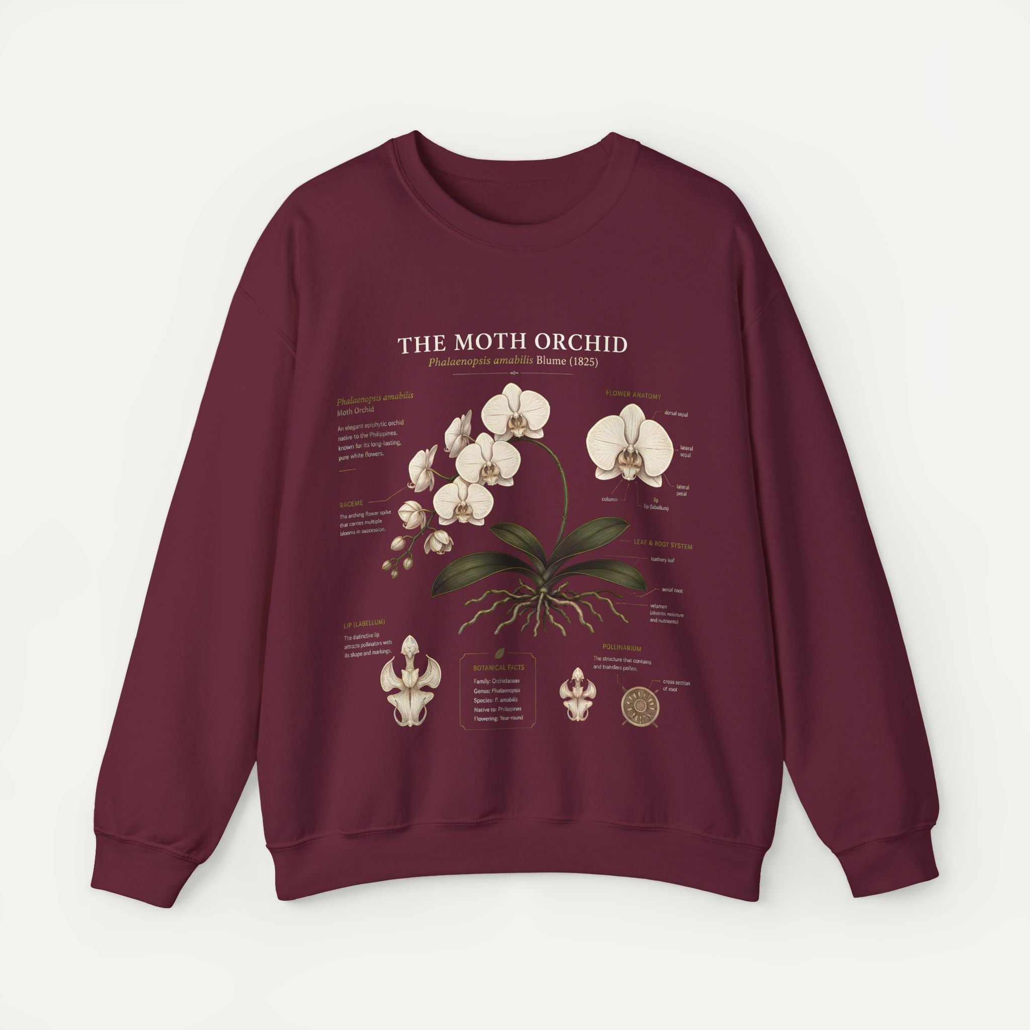 The Moth Orchid Crewneck Sweatshirt — Vintage Botanical Floral Pullover Secondary image