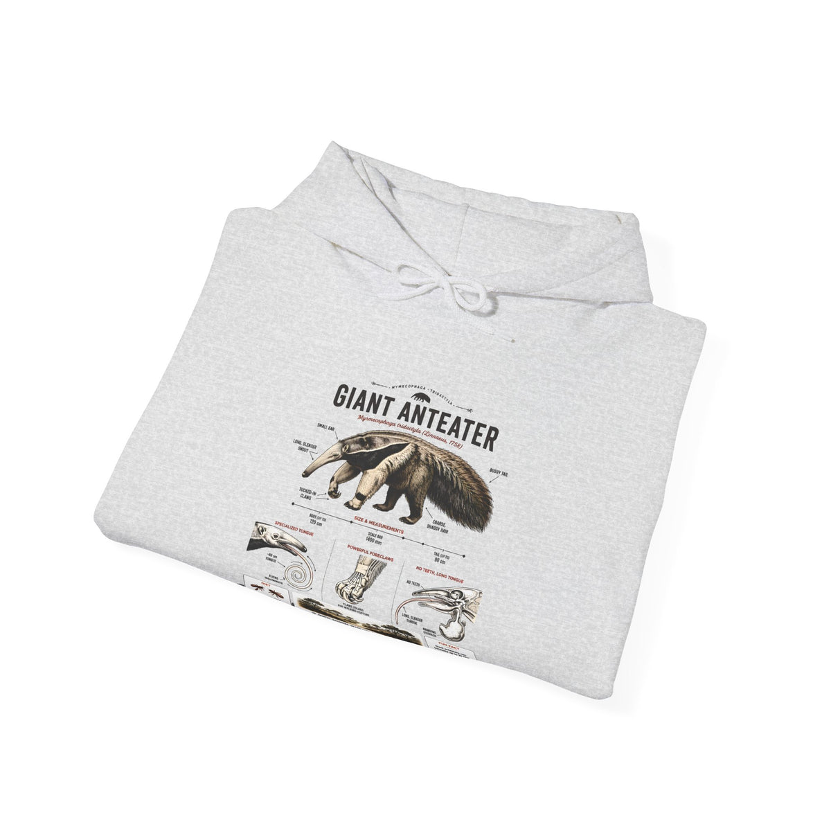 Giant Anteater Anatomy Hoodie — Illustrated Wildlife Diagram Sweatshirt