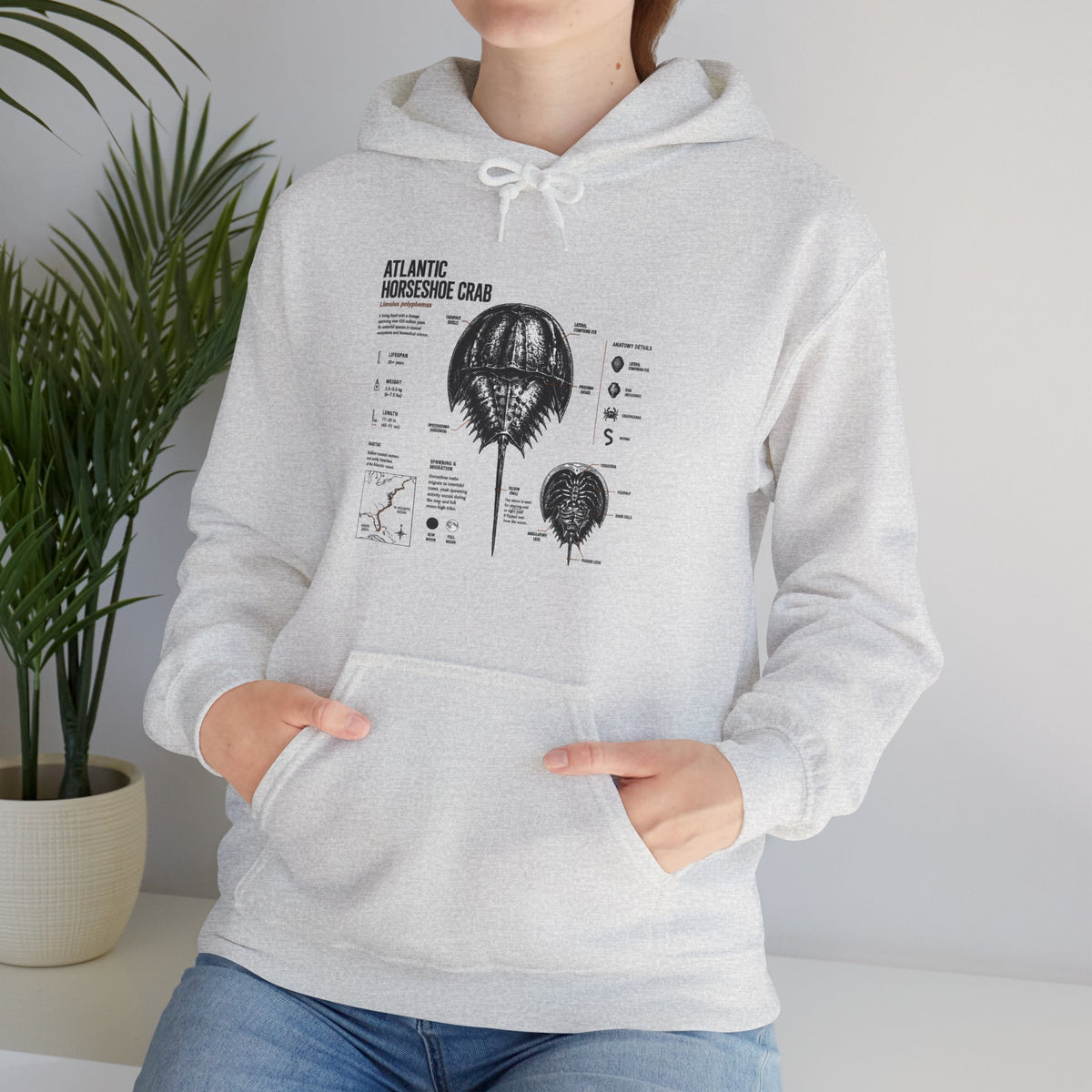Horseshoe Crab Anatomy Hoodies