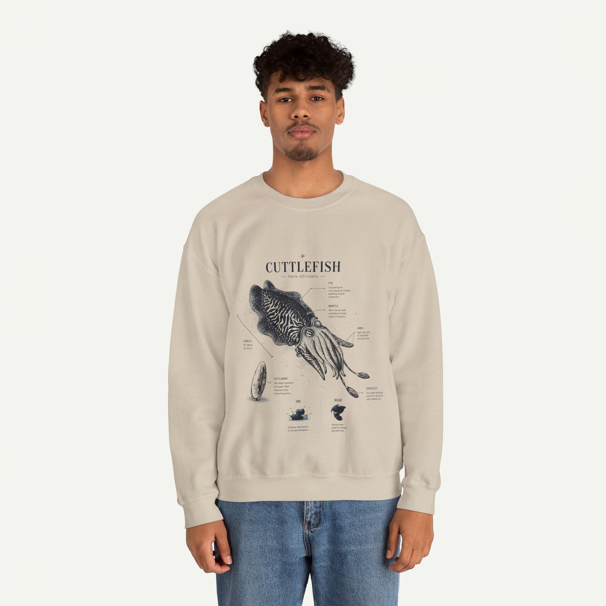Cuttlefish Anatomy Crewneck Sweatshirt