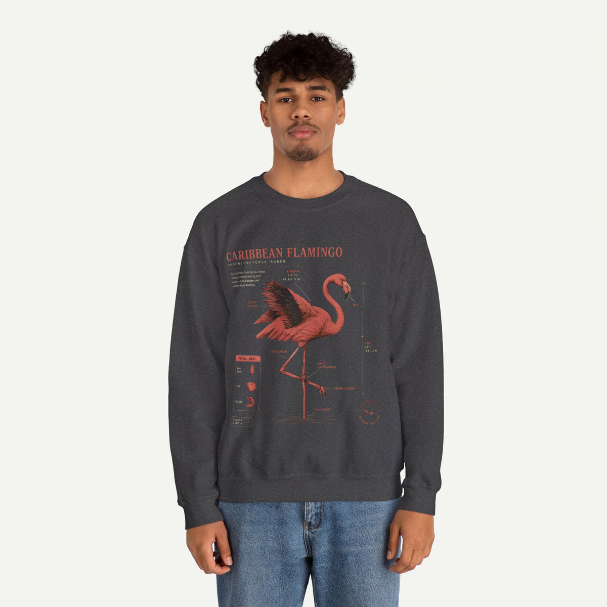 Flamingo Anatomy Field Guide Crewneck Sweatshirt