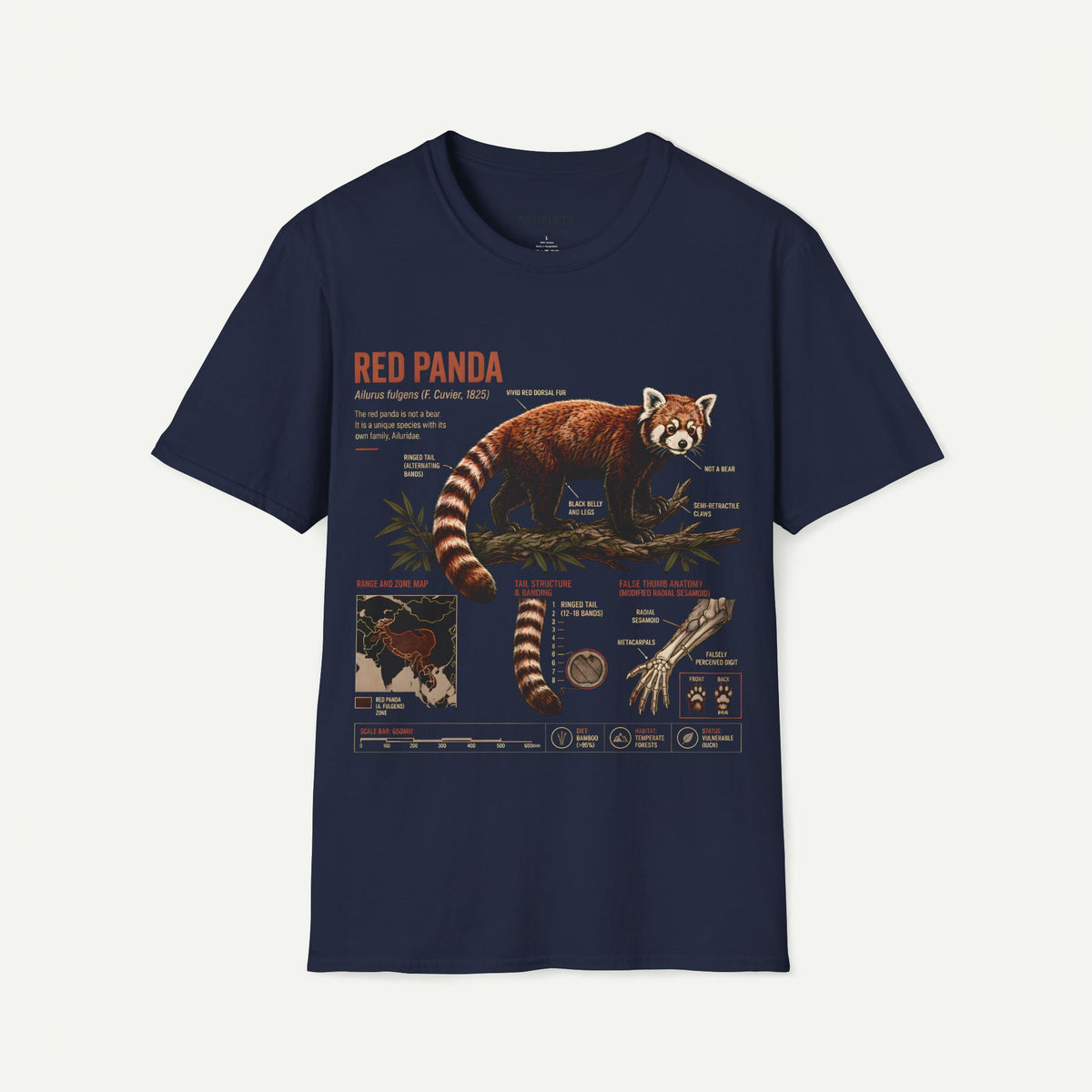 Red Panda Anatomy T-Shirt — Vintage Wildlife Graphic Tee