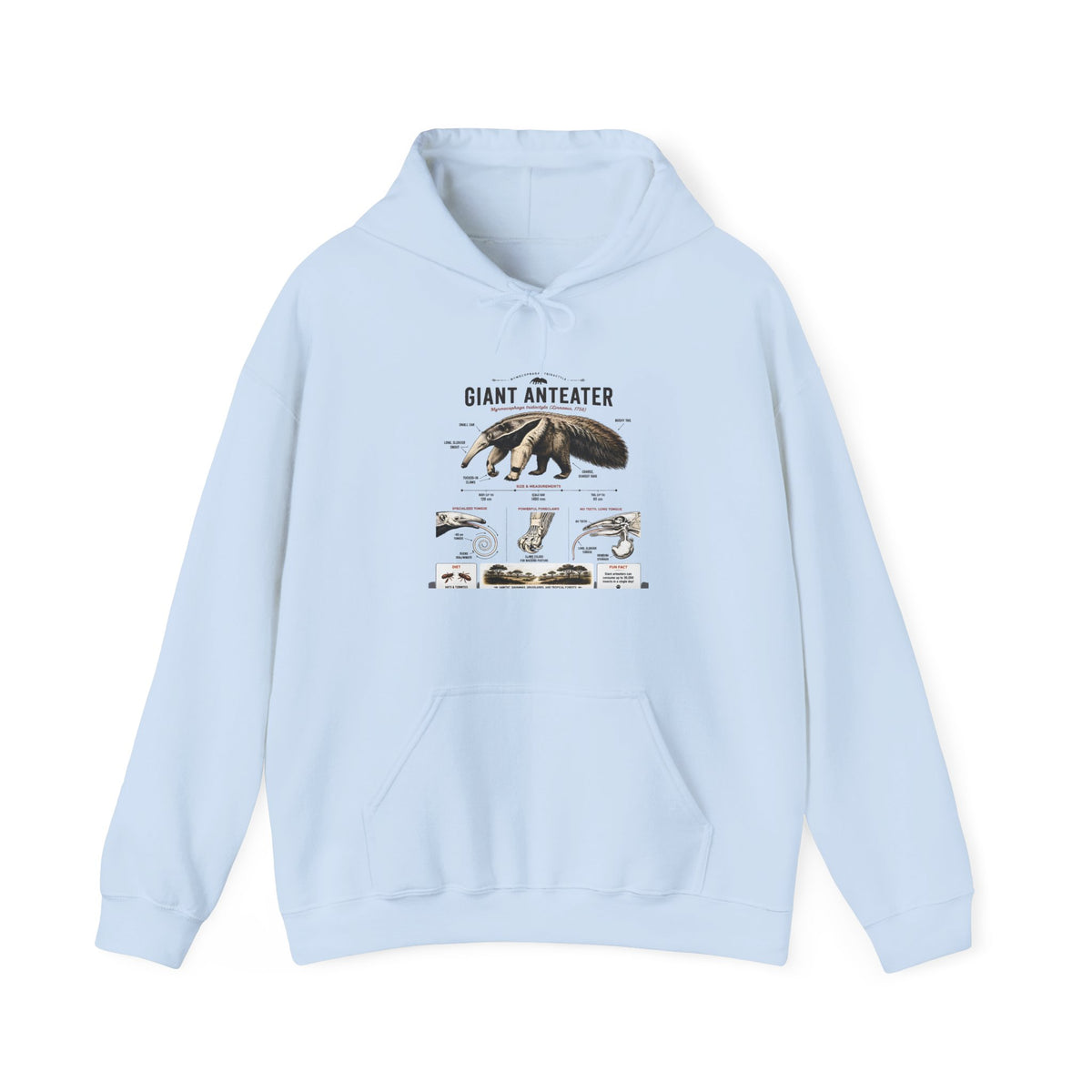 Giant Anteater Anatomy Hoodie — Illustrated Wildlife Diagram Sweatshirt