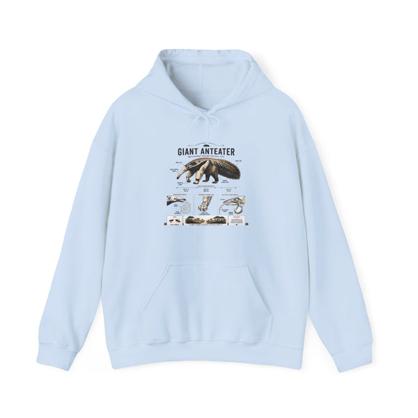 Giant Anteater Anatomy Hoodie — Illustrated Wildlife Diagram Sweatshirt