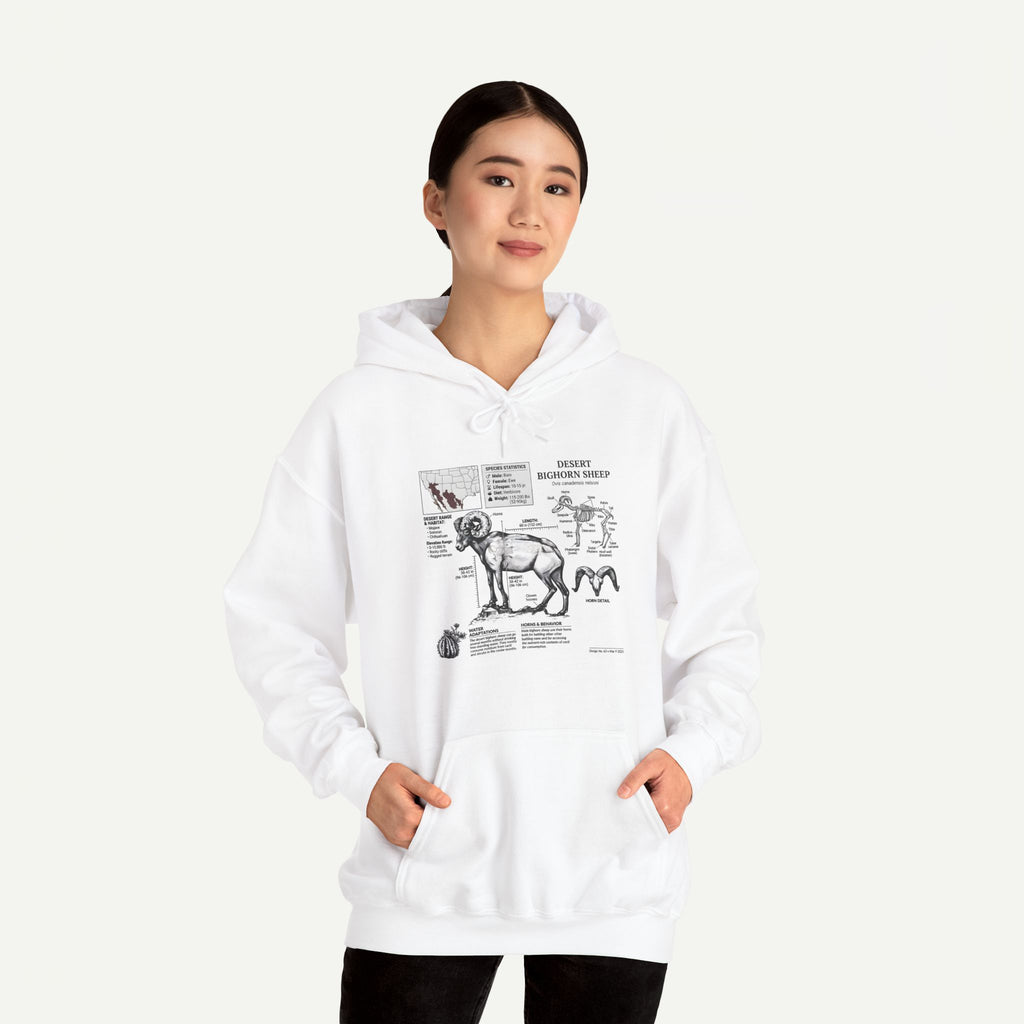 Dog Anatomy Hoodie – Vintage Canine Diagram Sweatshirt