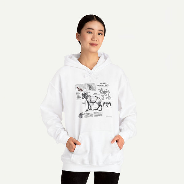 Dog Anatomy Hoodie – Vintage Canine Diagram Sweatshirt