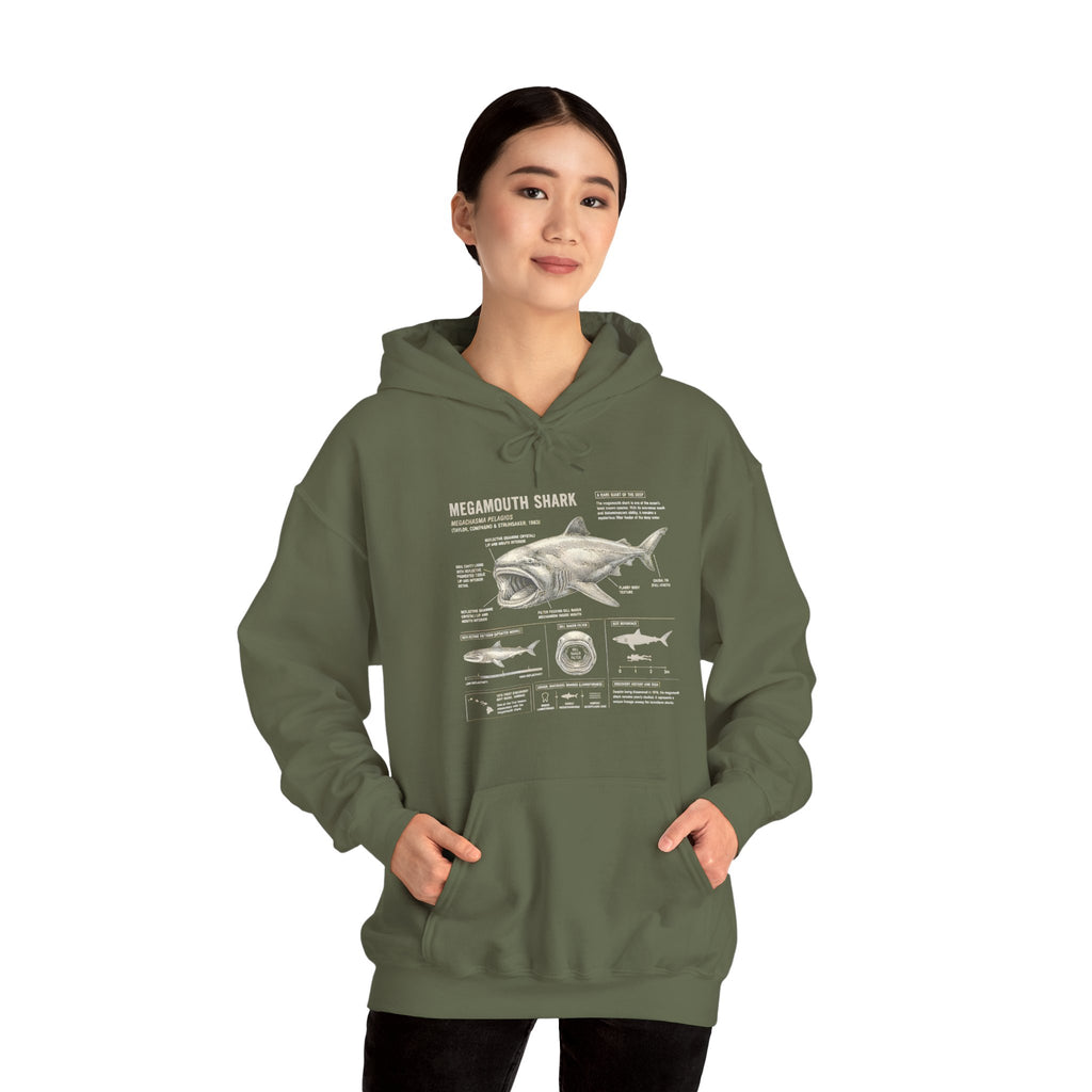 Shark Anatomy Hoodie — Vintage Megalodon Illustration Pullover