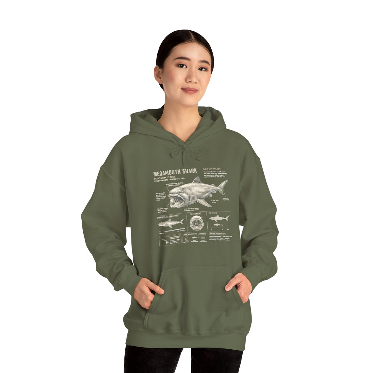 Shark Anatomy Hoodie — Vintage Megalodon Illustration Pullover
