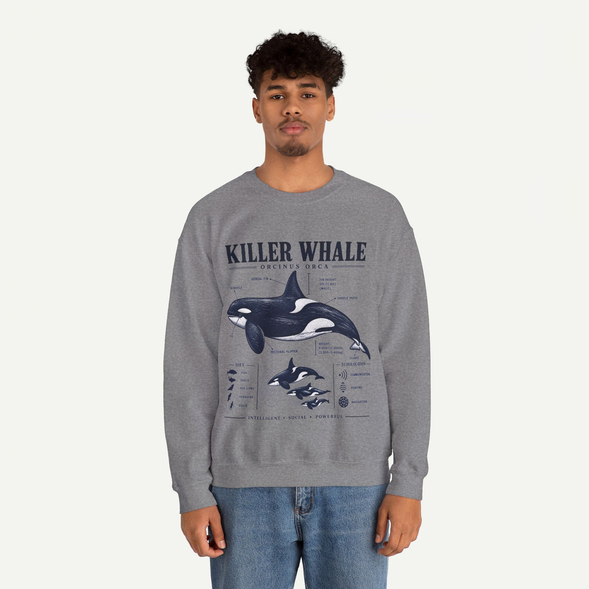 Killer Whale Anatomy Sweatshirt