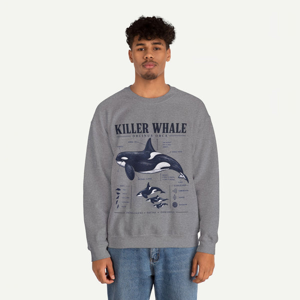 Killer Whale Anatomy Sweatshirt