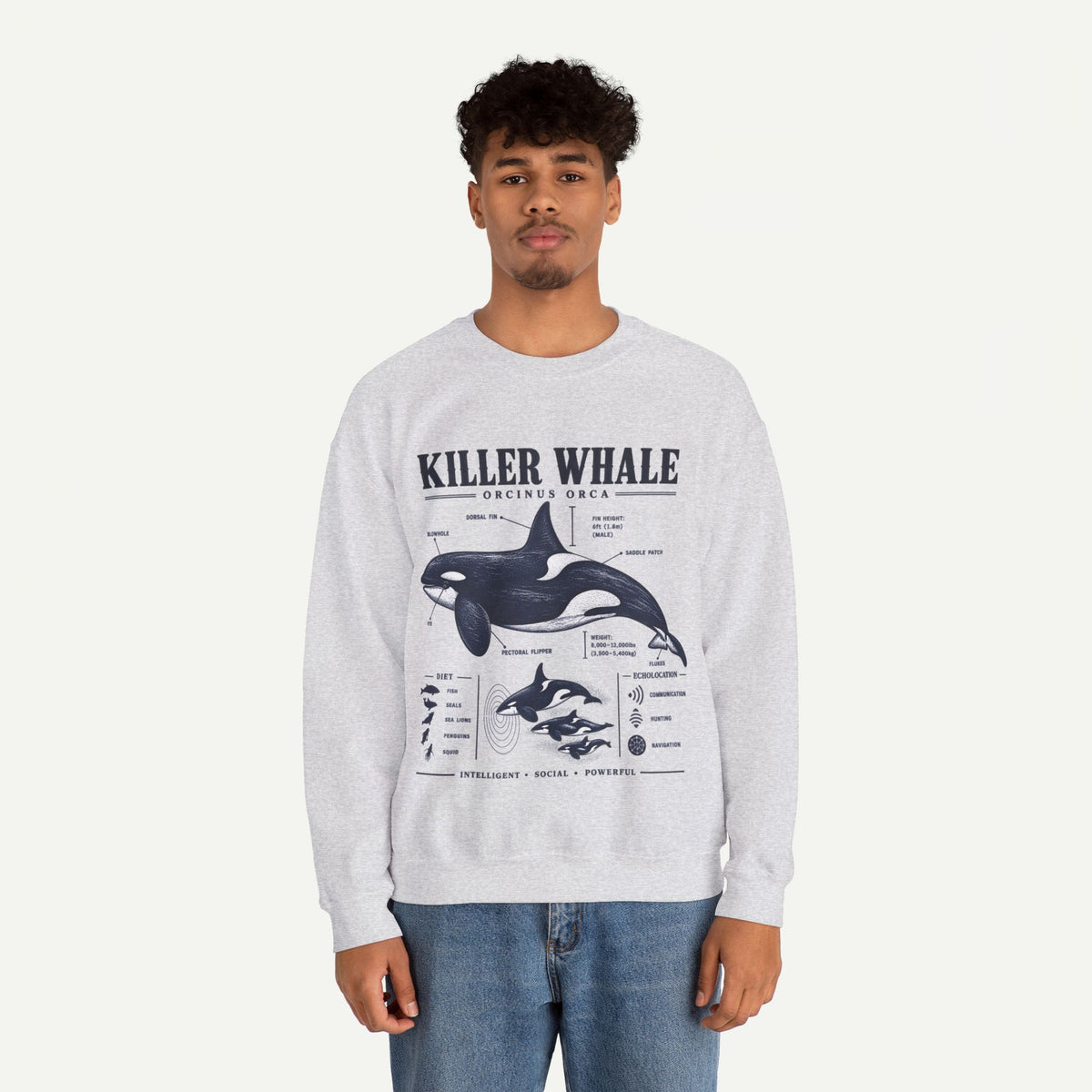 Killer Whale Anatomy Sweatshirt
