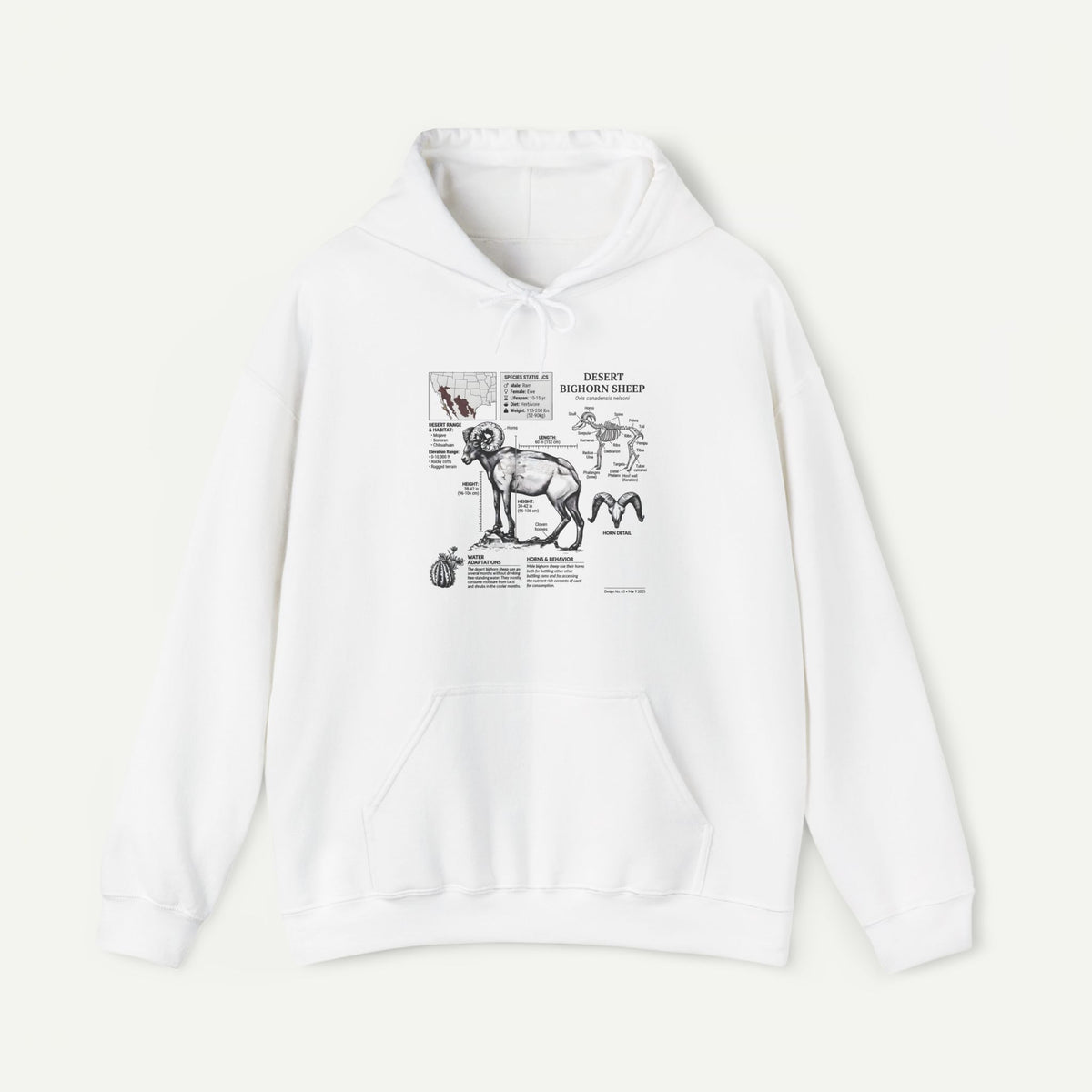 Dog Anatomy Hoodie – Vintage Canine Diagram Sweatshirt