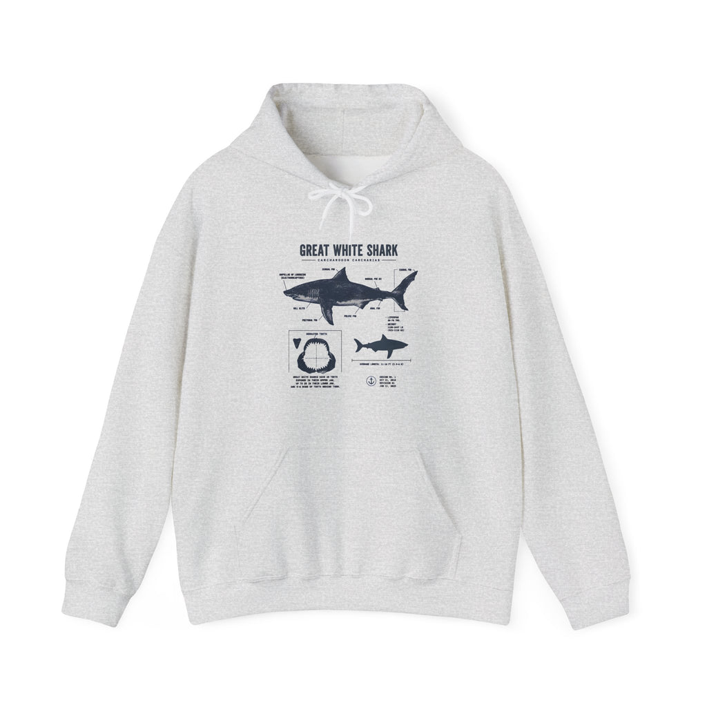 Shark Diagram Hoodie — Great White Shark Anatomy Graphic Sweatshirt