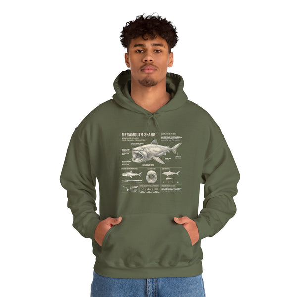 Shark Anatomy Hoodie — Vintage Megalodon Illustration Pullover