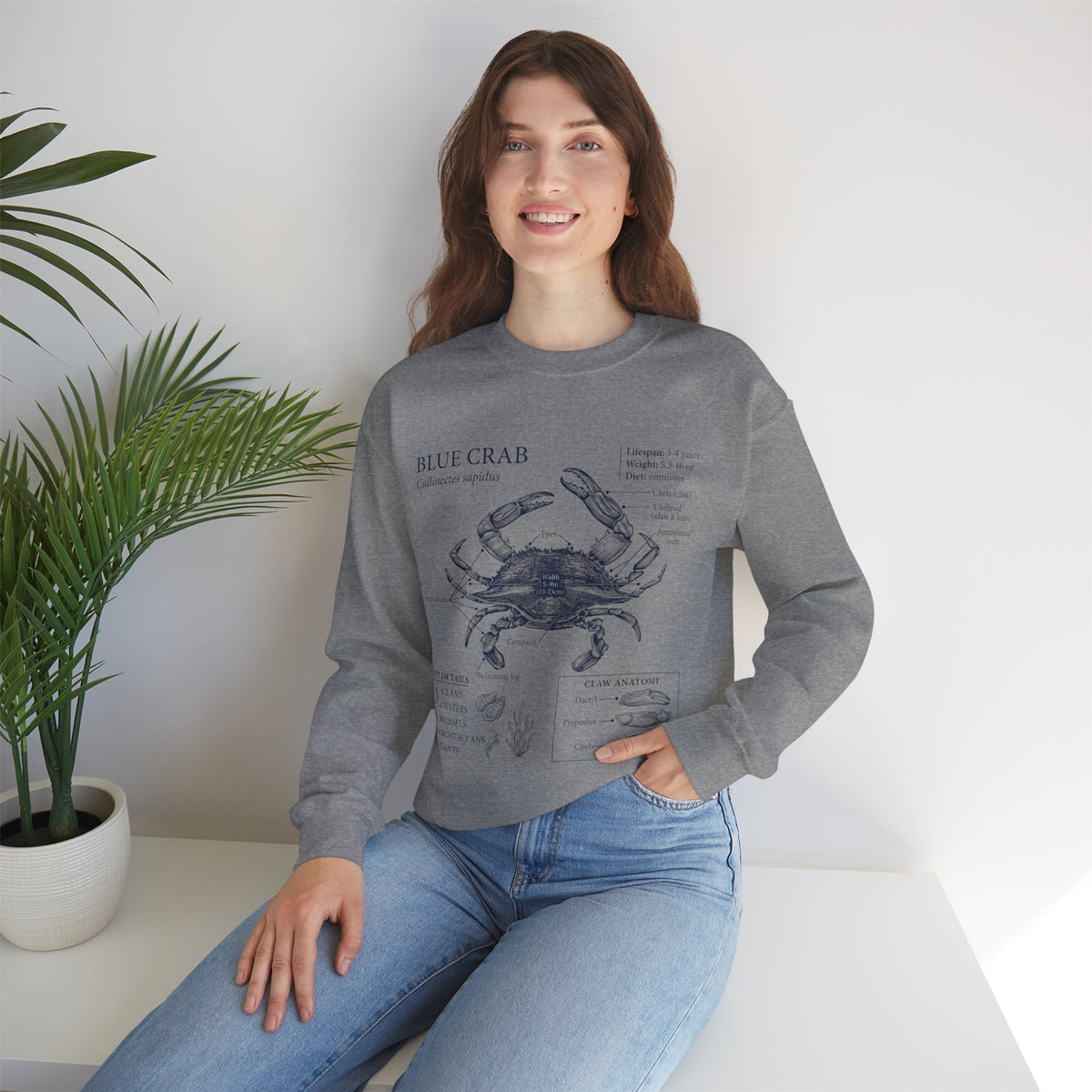 Blue Crab Anatomy Crewneck Sweatshirt – Marine Biology Graphic Pullover