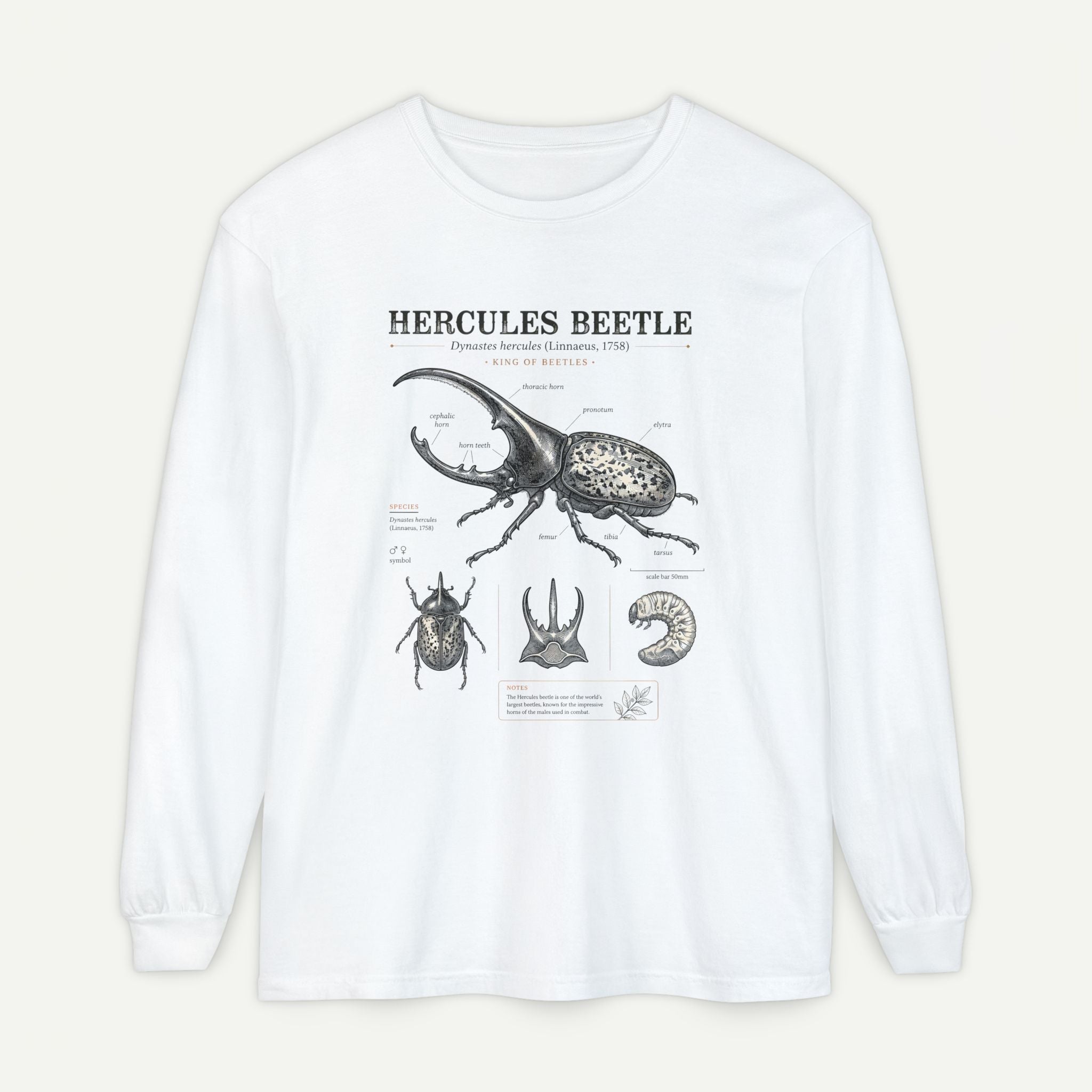 Hercules Beetle Anatomy Long Sleeve Tee Secondary image