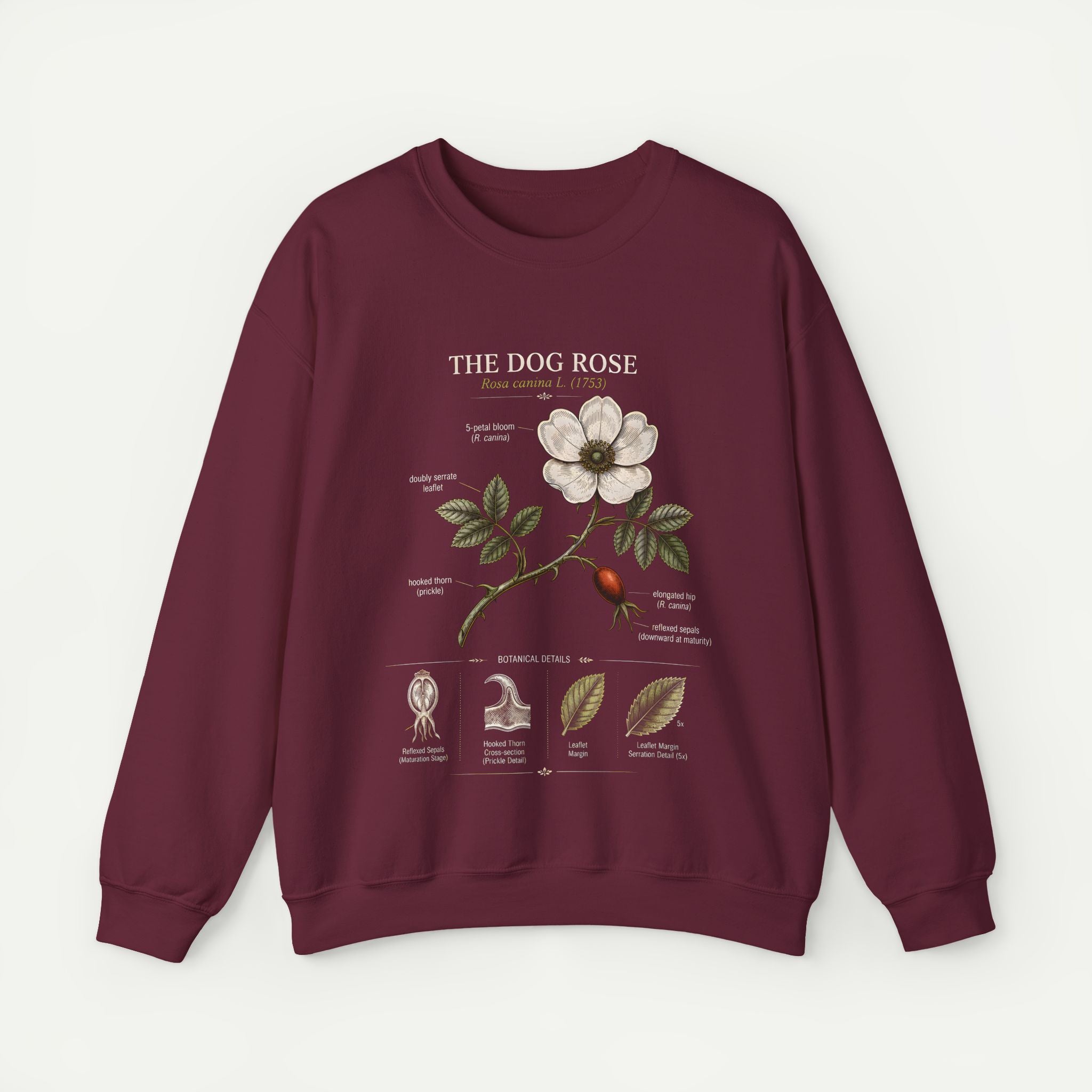 Dog Rose Botanical Sweatshirt — Vintage Floral Anatomy Crewneck Secondary image