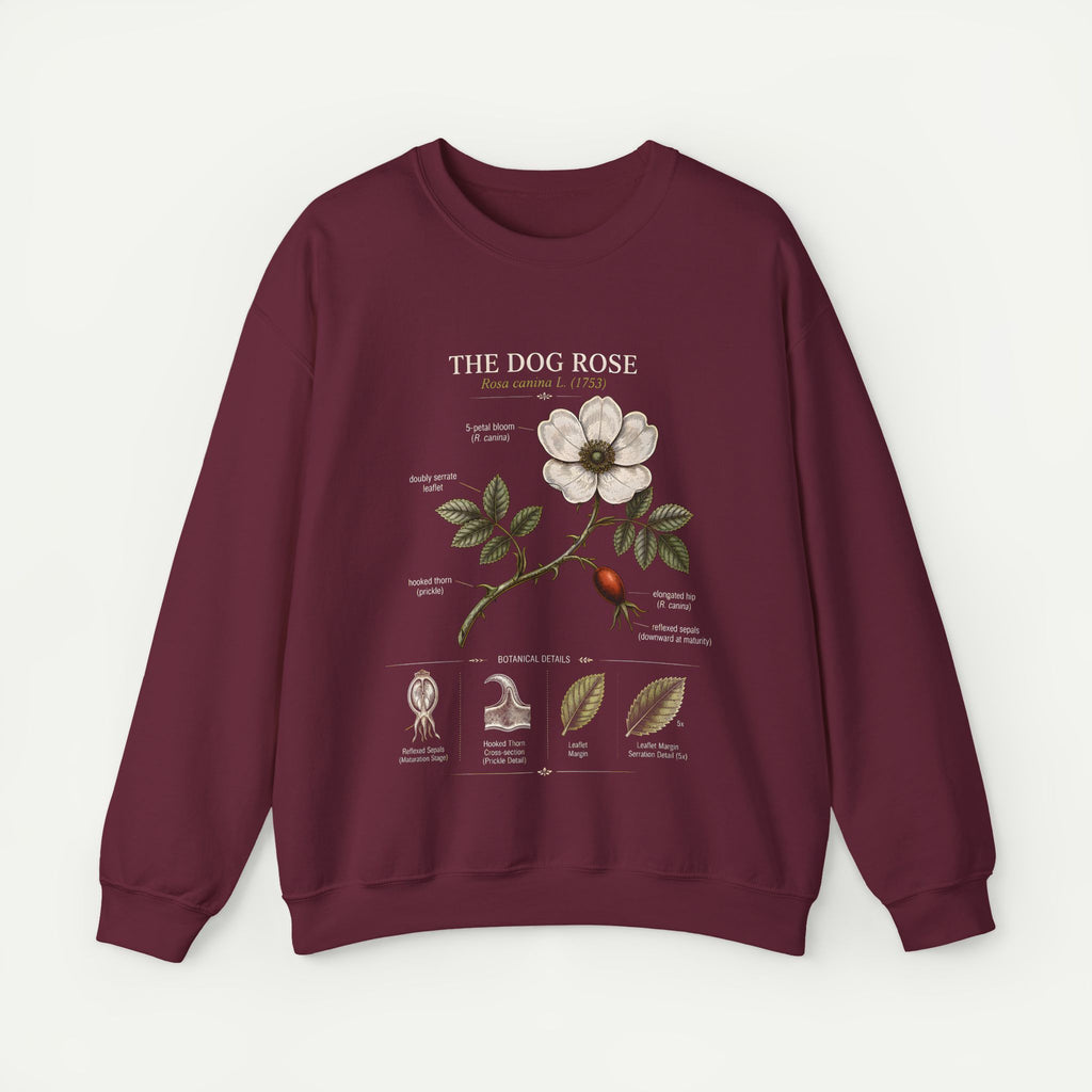 Dog Rose Botanical Sweatshirt — Vintage Floral Anatomy Crewneck