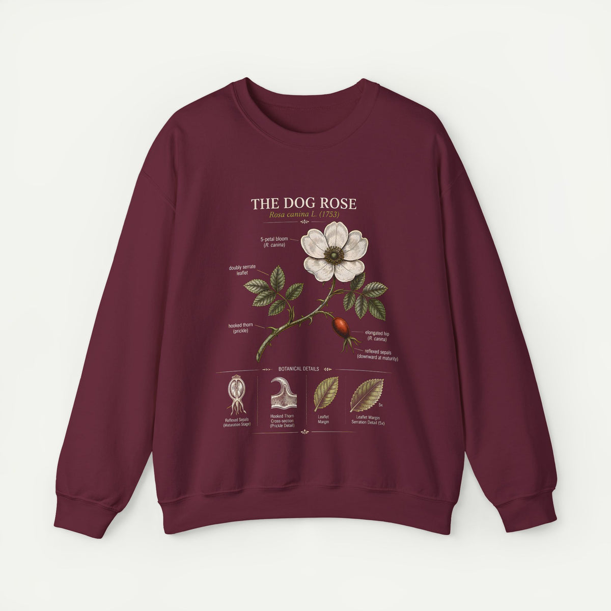 Dog Rose Botanical Sweatshirt — Vintage Floral Anatomy Crewneck