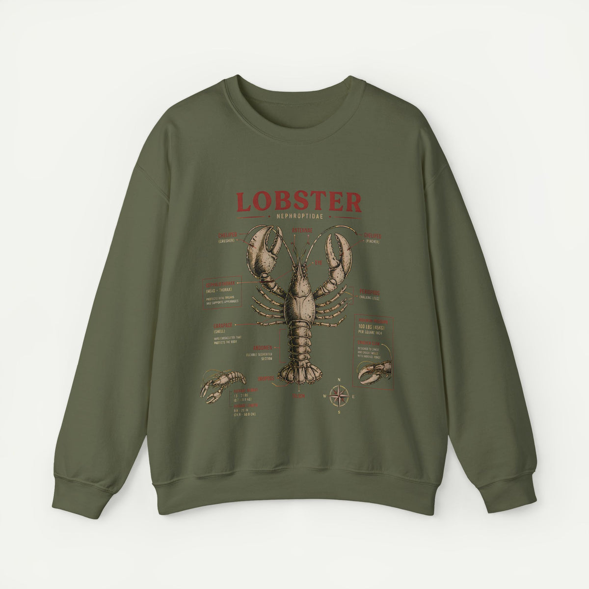 Lobster Anatomy Crewneck Sweatshirt
