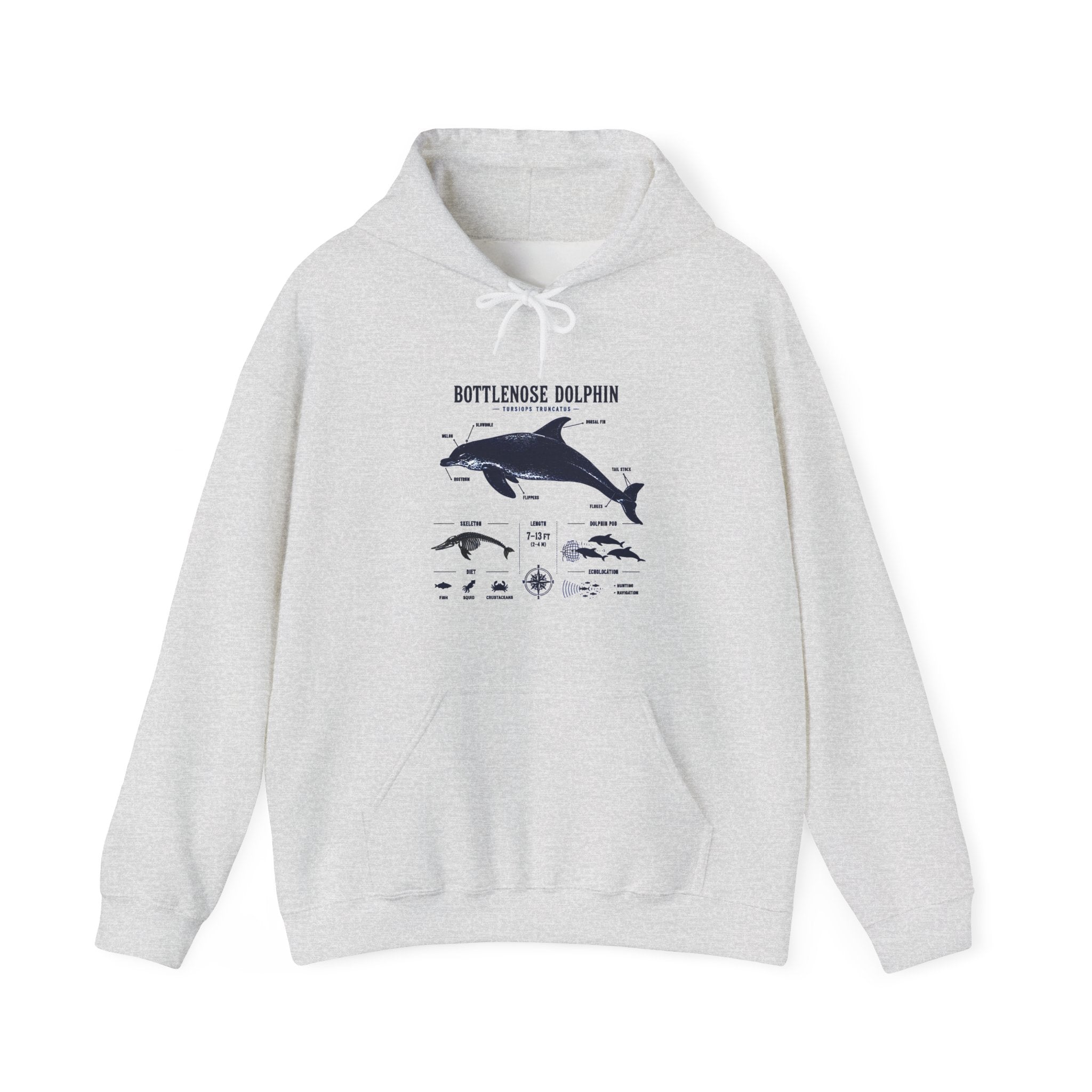 Bottlenose Dolphin Diagram Hoodie – Marine Life Anatomy Sweatshirt Secondary image