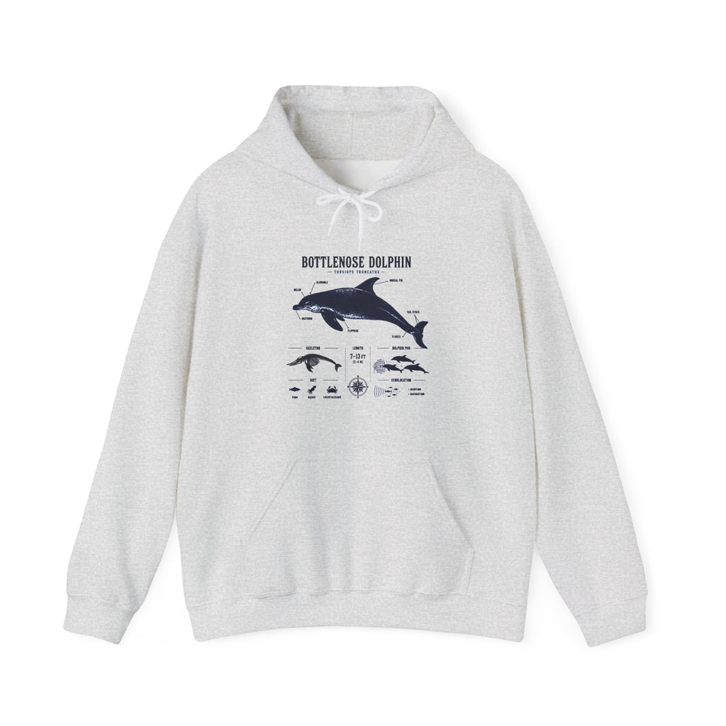 Bottlenose Dolphin Diagram Hoodie – Marine Life Anatomy Sweatshirt