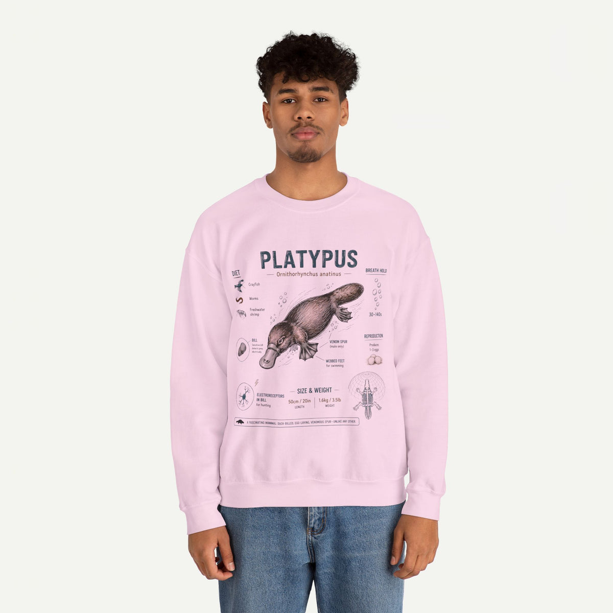 Platypus Anatomy Sweatshirt — Vintage Scientific Illustration
