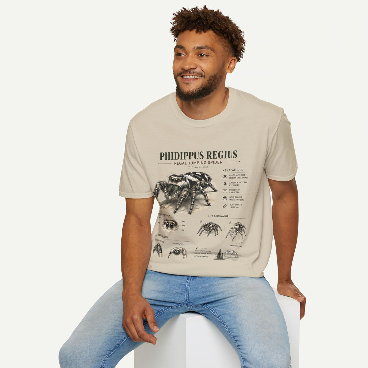 Phidippus Regius Jumping Spider Anatomy T-Shirt — Educational Arachnid Tee