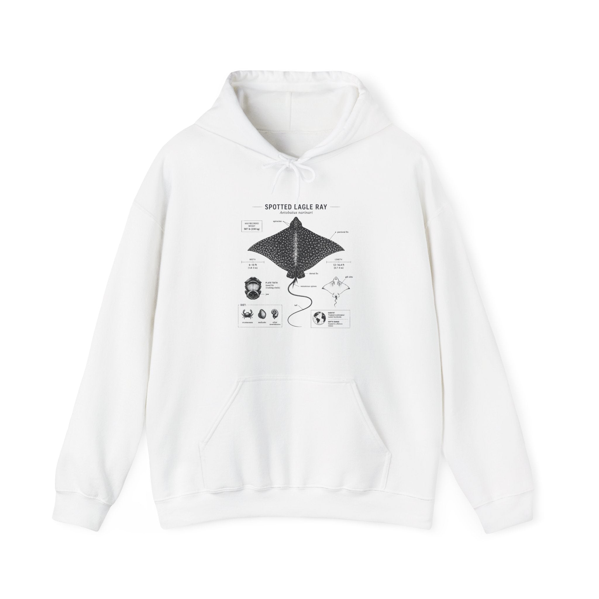 Manta Ray Anatomy Hoodie – Spotted Eagle Ray Diagram Sweatshirt Secondary image