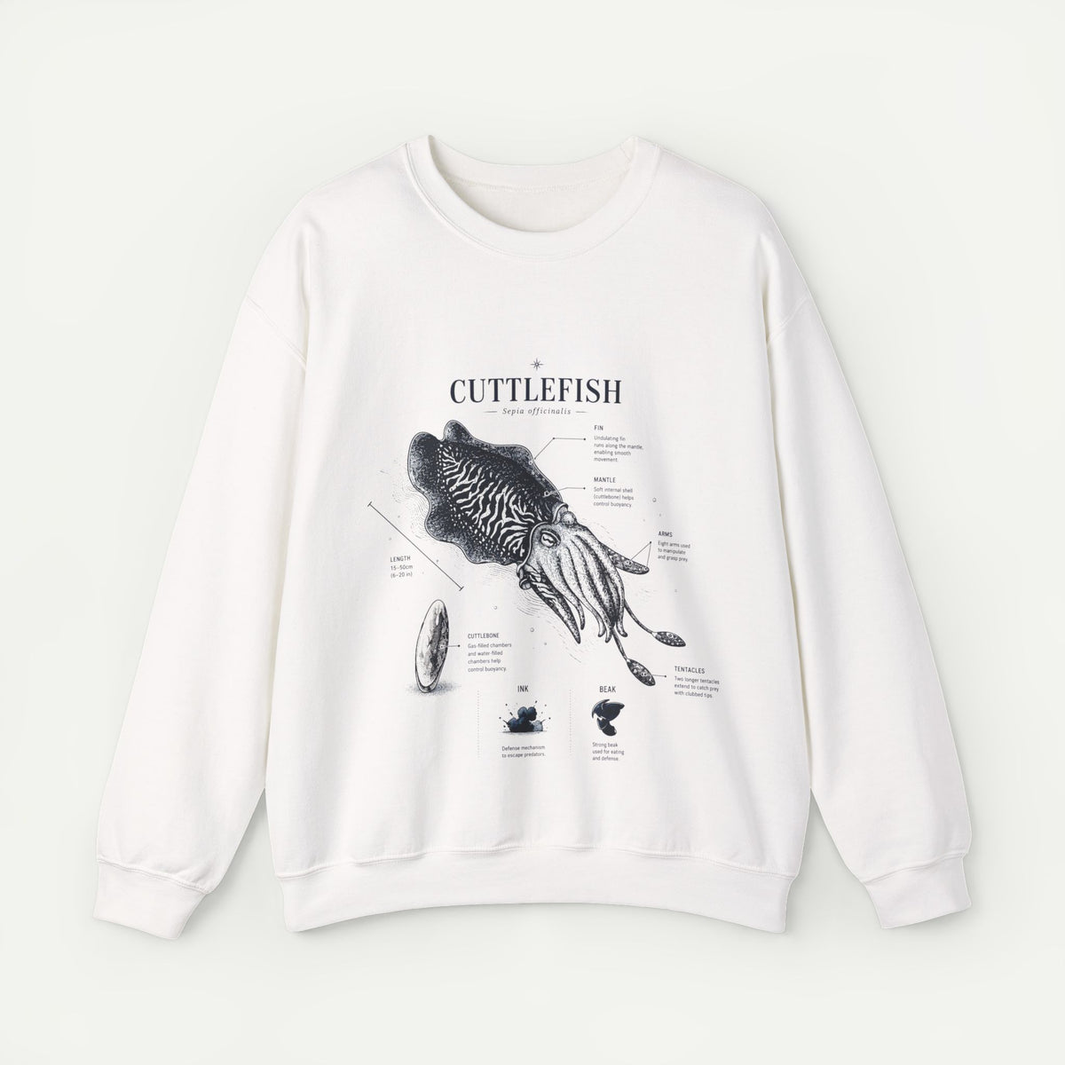 Cuttlefish Anatomy Crewneck Sweatshirt