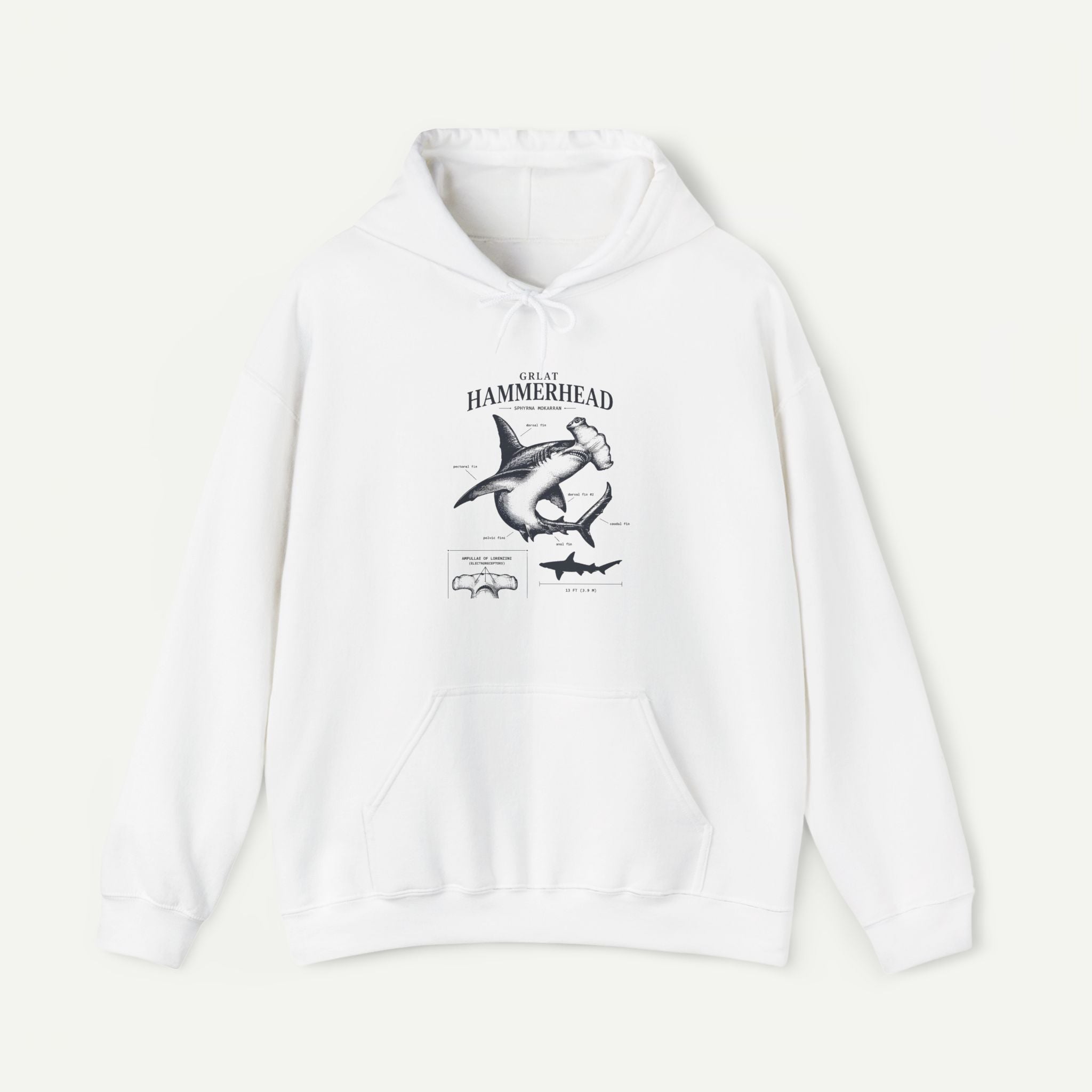 Hammerhead Shark Anatomy Hoodie – Marine Biology Graphic Secondary image