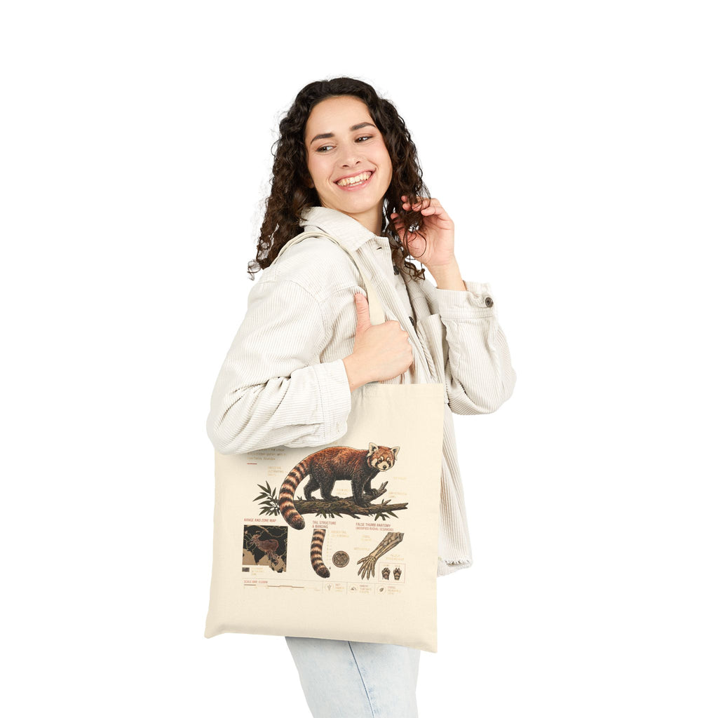 Red Panda Anatomy Canvas Tote Bag — Vintage Wildlife Illustration Eco Shopper